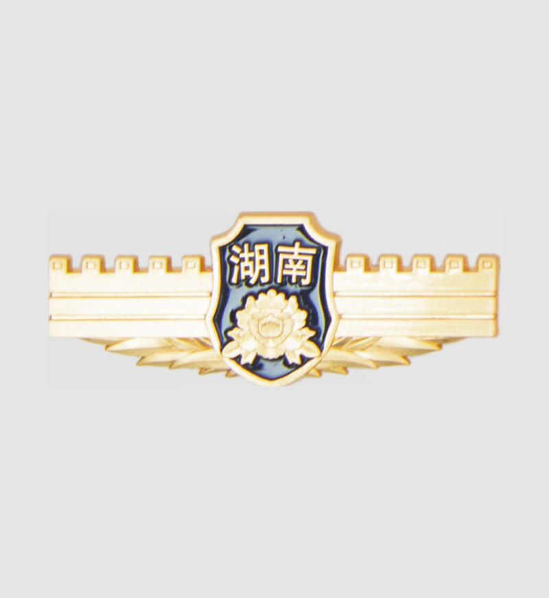 硬胸徽 /个